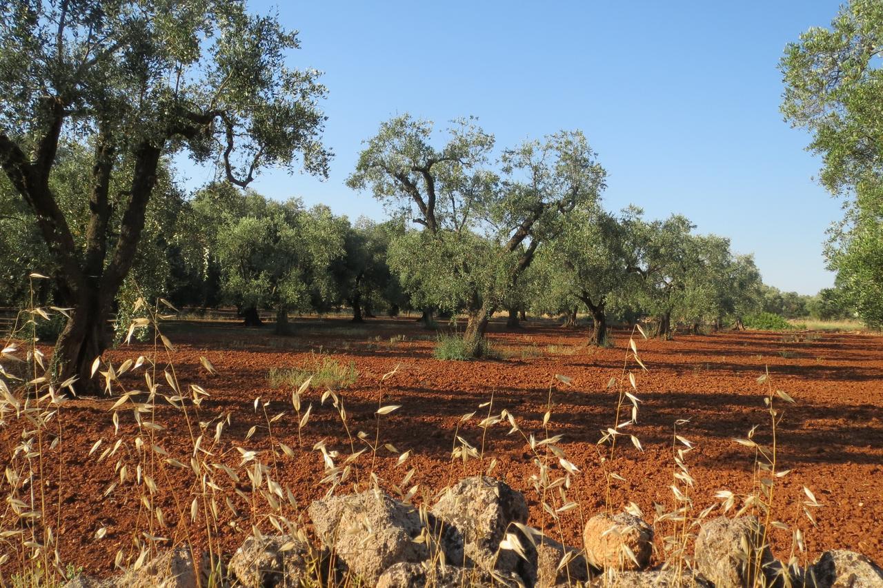 Le Fiche D'India Ξενοδοχείο Giuggianello Εξωτερικό φωτογραφία